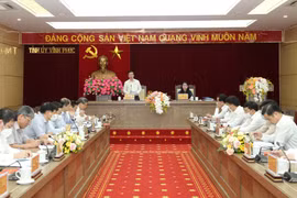 Revisan labores de construcción partidista en localidad vietnamita