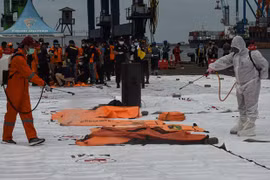 Grupo financiero indonesio compensará a víctimas de accidente aéreo