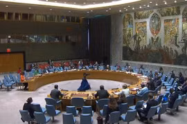 Vietnam condena ataques contra trabajadores humanitarios en focos de conflicto