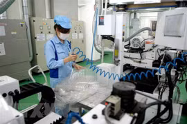 Aumenta inversión vietnamita en el exterior entre enero y abril