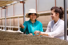 Empresa vietnamita de café busca conectar a proveedores agropecuarios