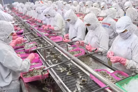 Numerosas empresas chinas interesadas en productos acuáticos vietnamitas