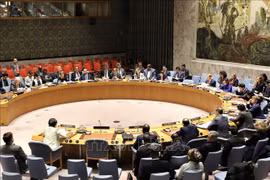 Aseveran políticas de Vietnam de no proliferación de armas nucleares