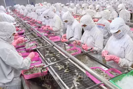 Vietnam aspira a convertirse en centro mundial de procesamiento de productos acuícolas