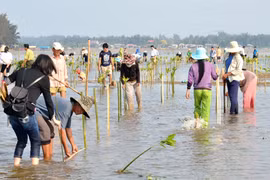 Destacan a prefectura nipona por aportes a conservación del entorno en Vietnam