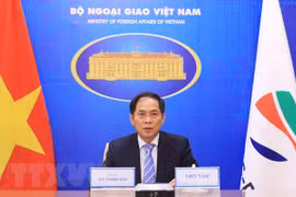 Vietnam participa en reunión ministerial de cooperación Mekong - Corea del Sur