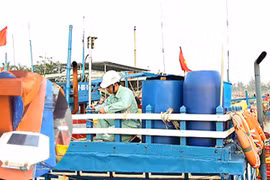 Equipan con dispositivos de monitoreo a la mayoría de pesqueros en provincia vietnamita