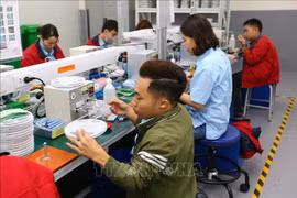Promueven en Vietnam participación política de personas con discapacidad