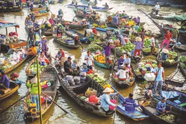Provincia vietnamita de Can Tho promueve turismo verde en mercado flotante de Cai Rang
