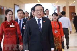 Labores de relaciones exteriores del Partido Comunista, esenciales para éxito de Vietnam
