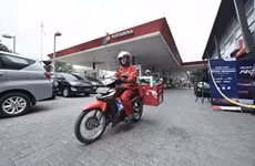 Indonesia busca poner fin a las importaciones de combustibles fósiles para 2030