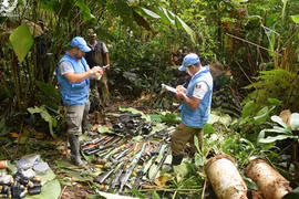 Vietnam destaca avance en proceso de paz en Colombia