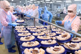En alza exportación de camarones de delta de río Mekong en Vietnam