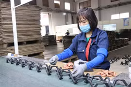 Resalta OMC logros de Vietnam en el comercio
