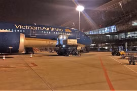 Envían casi 10 toneladas de lichi vietnamita a Japón por vía aérea