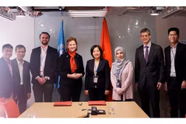 PNUD y Universidad Fulbright Vietnam cooperan en estudio de políticas económicas