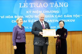 Unión de Organizaciones de Amistad de Vietnam, núcleo de la diplomacia popular