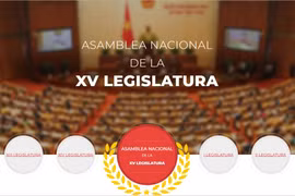 Lanza VNA sitio web especial sobre próximas elecciones