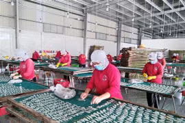 Provincia vietnamita de Phu Tho busca soluciones para recuperación de mercado laboral