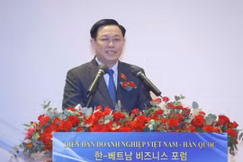 Efectúan Foro Empresarial Vietnam-Corea del Sur