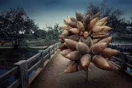 Honrada obra vietnamita en concurso internacional de fotografía