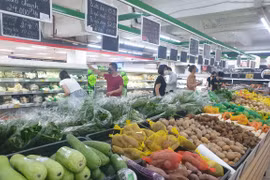 Índice de Precios al Consumidor de Ciudad Ho Chi Minh registra aumento de 0,33 por ciento