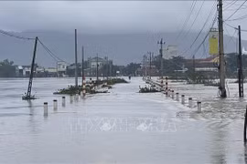 Hanoi puede asimilar experiencias de Bruselas sobre lucha contra inundaciones