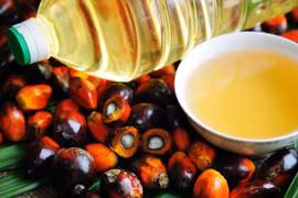 Pronostican disminución de 500 mil de toneladas de aceite de palma de Malasia en 2021