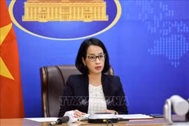 Todos los tripulantes vietnamitas detenidos en Irán están bien tratados, afirma viceportavoz de la Cancillería