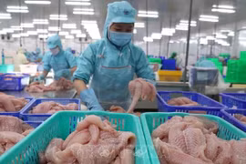 Eleva Vietnam meta de exportaciones agroforestales y acuícolas en 2021