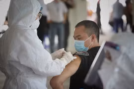 Vietnam sostiene reunión virtual con COVAX Facility 