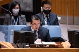 Vietnam llama a promover implementación de UNCLOS en la ONU