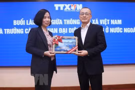 Buscan mejorar cooperación entre VNA y misiones representativas de Vietnam en extranjero