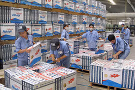 Ciudad Ho Chi Minh fortalece divulgación sobre igualdad de género entre trabajadores