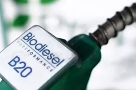 Indonesia, mayor productor de biodiésel del mundo