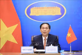 Sector diplomático de Vietnam trabaja por contribuir al cumplimiento de doble objetivo nacional