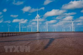 Proponen medidas para desarrollar la energía eólica marina en Vietnam 