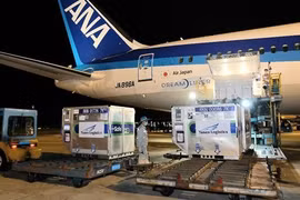 Llegan a Vietnam desde Japón casi un millón de dosis de vacuna contra el COVID-19
