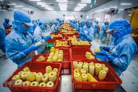 Crecen exportaciones de frutas y verduras vietnamitas en el primer trimestre de 2021