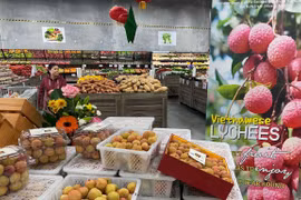 Aumentan exportaciones de productos agrícolas vietnamitas a Australia