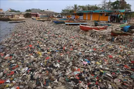 Iniciativas para combatir la contaminación del mar por plásticos en la ASEAN