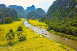 Vietnam necesita nuevos mecanismos para promover el desarrollo cultural