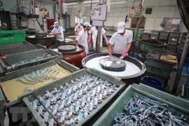 Vietnam estimula inversión extranjera en 157 proyectos en el período 2021-2025