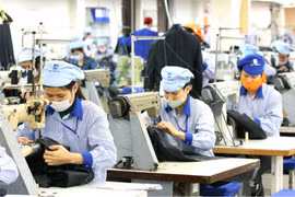 Empresas vietnamitas de exportación de fuerza laboral trabajan por superar dificultades por el COVID-19