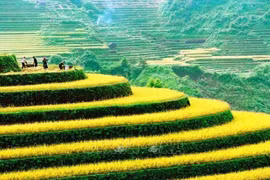 Lanzan en Vietnam XI Concurso Internacional de Fotografía Artística