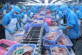 Anuncia EE.UU. resultados de revisión antidumping a pescados vietnamitas 