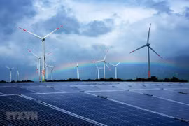 Vietnam, un “boom" en el campo de la energía solar, según BNN Bloomberg