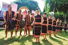 ONU Mujeres publica informes sobre grupos étnicos en Vietnam