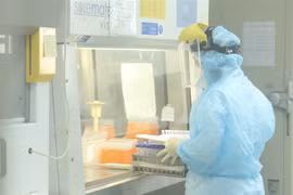 COVID-19: Hanoi se esfuerza por controlar rápidamente la epidemia