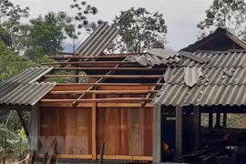 Al menos un muerto y dos heridos por fuertes lluvias en provincia vietnamita